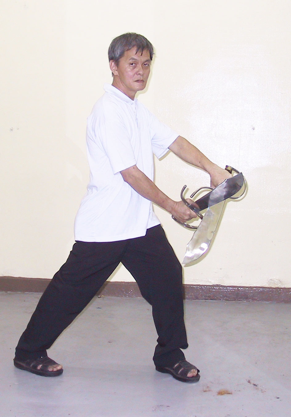 sifu Ku Choi Wah